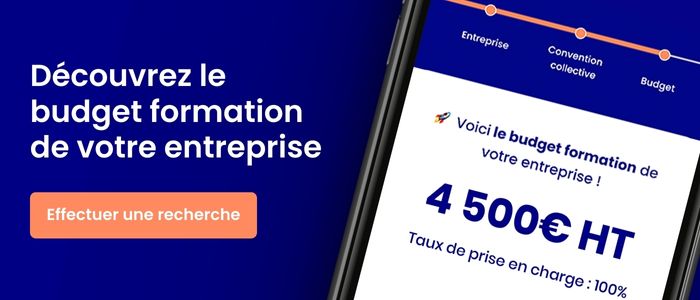 Budget formation entreprise d'après les financements opco